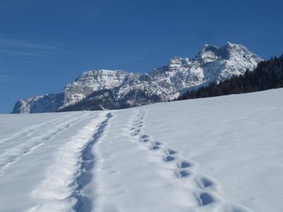 07 Blick auf den Loferer Steinberg im Winter