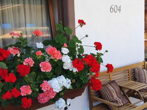 Moaeben Alpbach mit Blumen