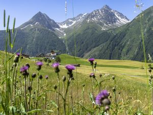 Burgstein Sommer