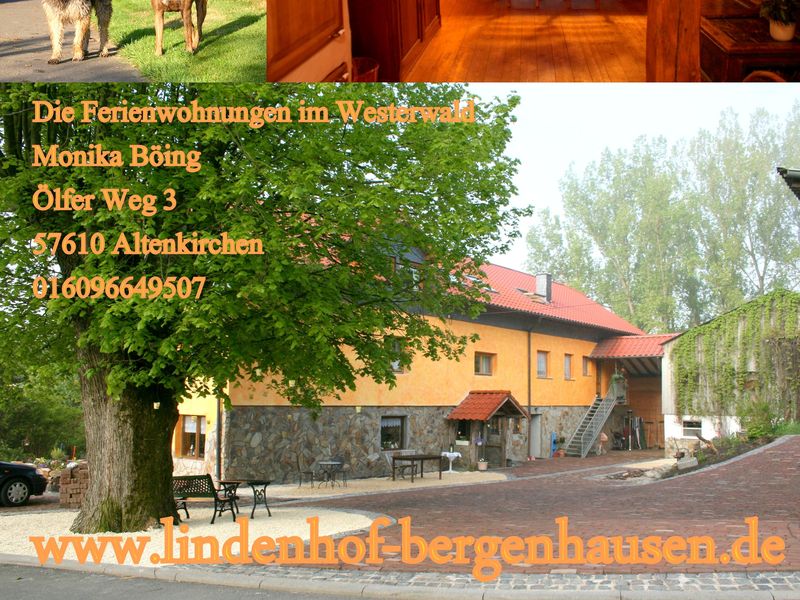 23961675-Ferienwohnung-5--800x600-1