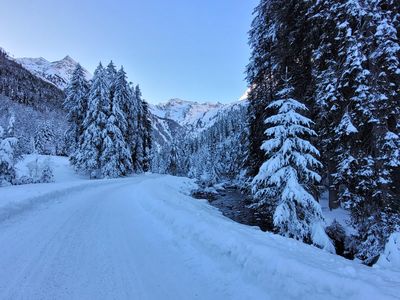 Weg zum steirischen Bodensee