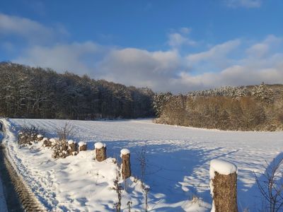 Winterlandschaft - Kopie