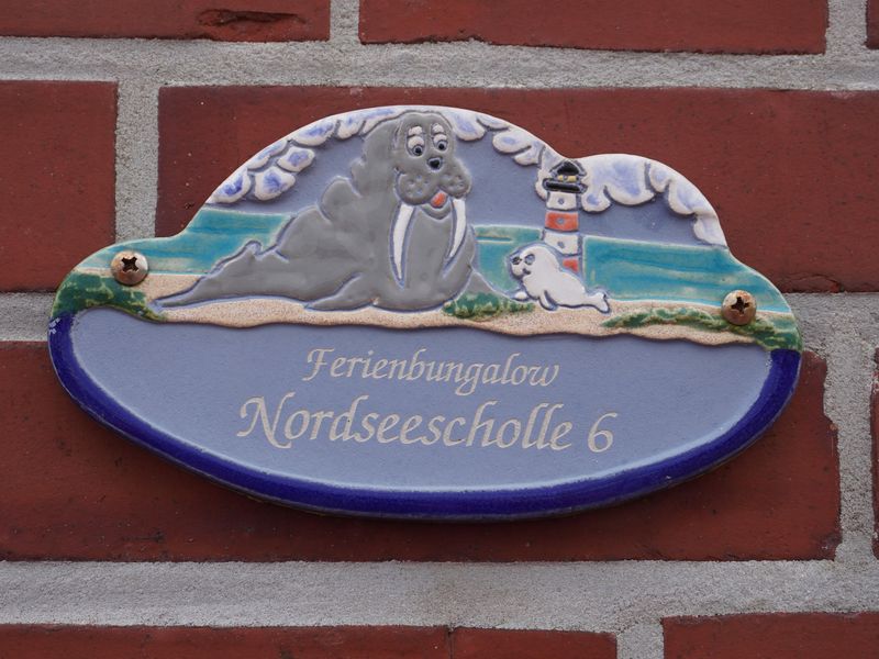 Nordseescholle