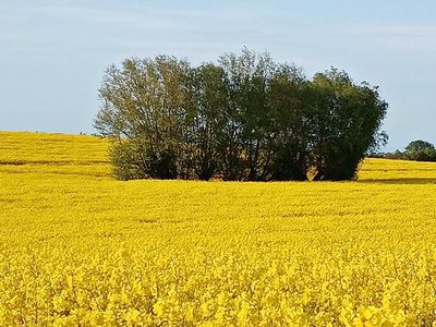 Frühling im Klützer Winkel.