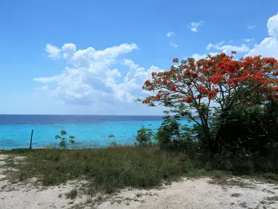 Ferienwohnung für 3 Personen (50 m²) in Playa Girón 5/10