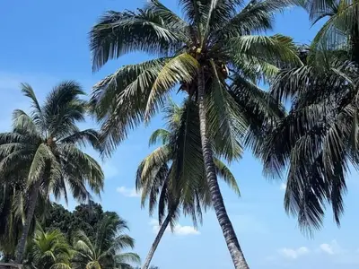 Ferienwohnung für 2 Personen (15 m²) in Playa Larga 9/10