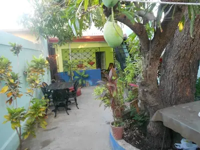 Ferienwohnung für 4 Personen (15 m²) in Trinidad 5/10