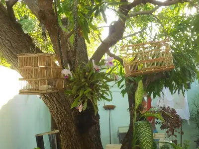 Ferienwohnung für 4 Personen (15 m²) in Trinidad 7/10