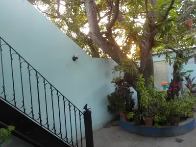 Ferienwohnung für 4 Personen (15 m²) in Trinidad 8/10