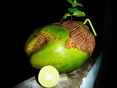 Ferienwohnung für 4 Personen (14 m²) in Baracoa 8/10