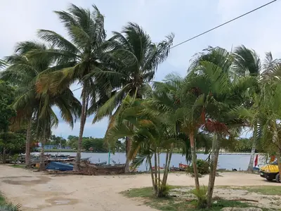 Ferienwohnung für 4 Personen (20 m²) in Playa Larga 10/10
