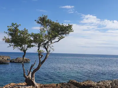 Ferienwohnung für 2 Personen (16 m²) in Santiago de Cuba 9/10