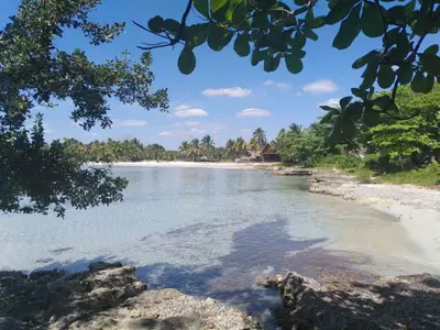 Ferienwohnung für 4 Personen (20 m²) in Playa Larga 8/10