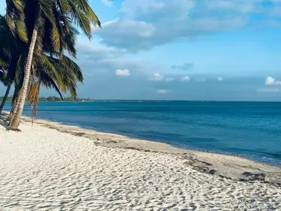 Ferienwohnung für 4 Personen (20 m²) in Playa Larga 9/10