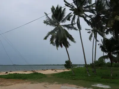 Ferienwohnung für 2 Personen (15 m²) in Playa Larga 9/10