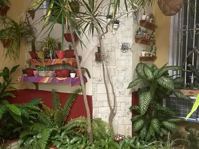 Ferienwohnung für 3 Personen (16 m²) in Camagüey 9/10