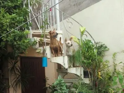 Ferienwohnung für 4 Personen (12 m²) in Trinidad 8/10