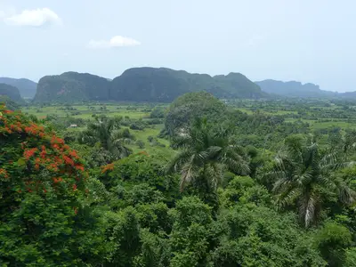 Ferienwohnung für 4 Personen (16 m²) in Viñales 2/10