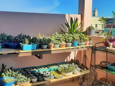 Ferienwohnung für 2 Personen (18 m²) in Manzanillo 6/10