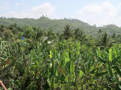 Ferienwohnung für 5 Personen (30 m²) in Baracoa 9/10