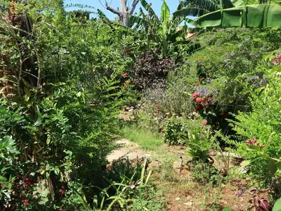 Ferienwohnung für 4 Personen (25 m²) in Baracoa 10/10