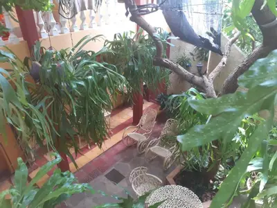 Ferienwohnung für 3 Personen (20 m²) in Trinidad 10/10