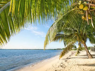 Ferienwohnung für 2 Personen (15 m²) in Playa Larga 9/10