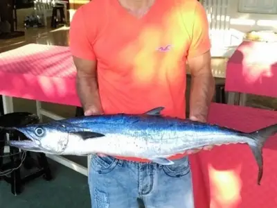 Ferienwohnung für 4 Personen (15 m²) in La Boca 8/10