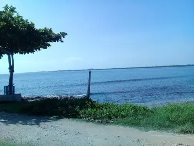 Ferienwohnung für 3 Personen (16 m²) in Playa Larga 6/10