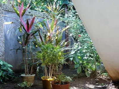 Ferienwohnung für 2 Personen (15 m²) in Baracoa 3/5