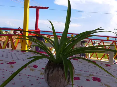 Ferienwohnung für 2 Personen (10 m²) in Baracoa 9/10