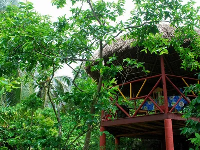 Ferienwohnung für 4 Personen (16 m²) in Viñales 4/10