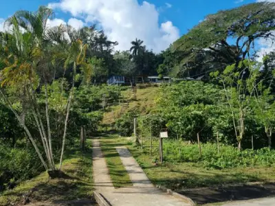 Ferienwohnung für 3 Personen (16 m²) in Santo Domingo 1/8