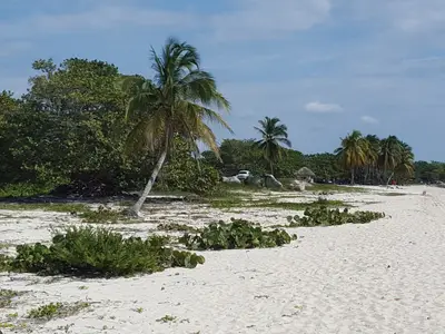 Ferienwohnung für 2 Personen (50 m²) in Playa Girón 4/10