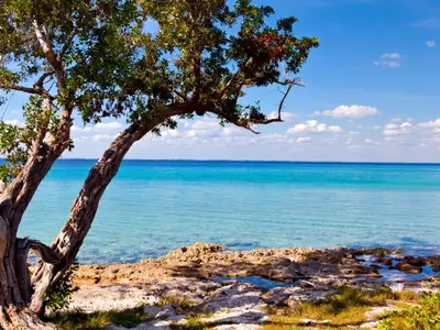 Ferienwohnung für 2 Personen (50 m²) in Playa Girón 6/10