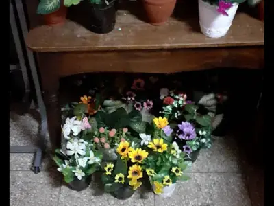 Ferienwohnung für 2 Personen (17 m²) in Sancti Spíritus 6/10