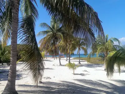 Ferienwohnung für 2 Personen (22 m²) in Trinidad 10/10