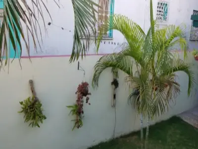 Ferienwohnung für 2 Personen (14 m²) in Matanzas 10/10