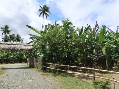 Ferienwohnung für 4 Personen (45 m²) in Municipio de Baracoa 8/10