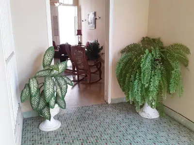 Ferienwohnung für 2 Personen (12 m²) in Camagüey 6/10