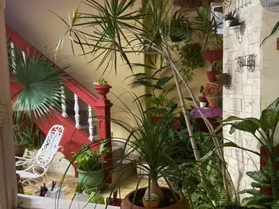 Ferienwohnung für 2 Personen (16 m²) in Camagüey 7/10