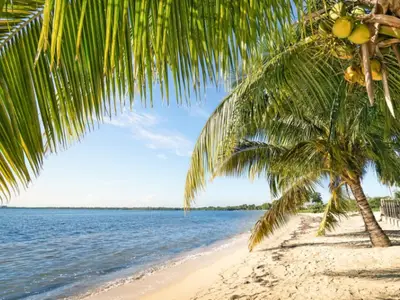 Ferienwohnung für 3 Personen (14 m²) in Playa Larga 7/10