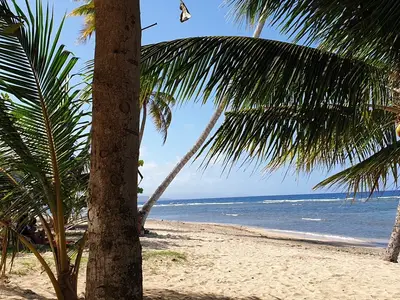Ferienwohnung für 3 Personen (12 m²) in Baracoa 10/10
