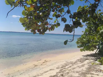 Ferienwohnung für 4 Personen (20 m²) in Playa Larga 7/10