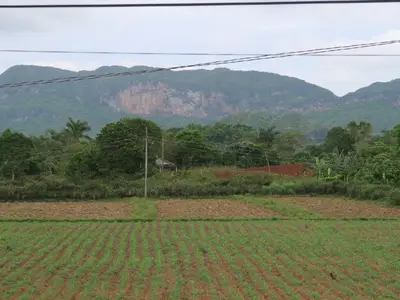 Ferienwohnung für 4 Personen (25 m²) in Viñales 10/10