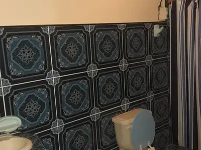 Ferienwohnung für 3 Personen (16 m²) in Marea de Portillo 4/10