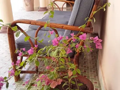 Ferienwohnung für 2 Personen (12 m²) in Camagüey 9/10