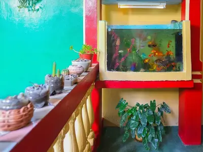 Ferienwohnung für 3 Personen (18 m²) in Baracoa 9/10