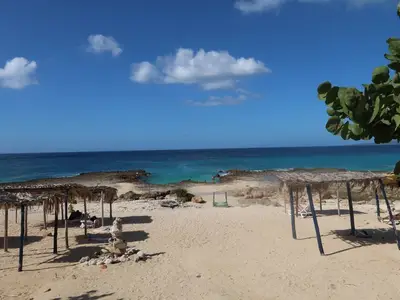 Ferienwohnung für 1 Person (10 m²) in Trinidad 7/10