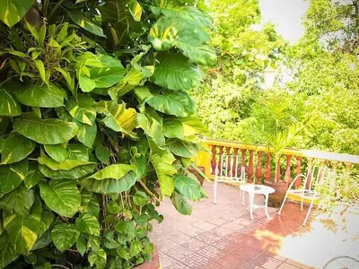 Ferienwohnung für 3 Personen (15 m²) in Trinidad 4/10